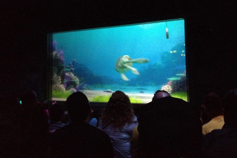 Turtle Talk with Crush - a tartaruga do filme Procurando Nemo conversa com a platéia