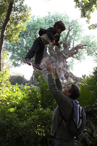 Eric voando em frente a Tree of Life no Animal Kingdom