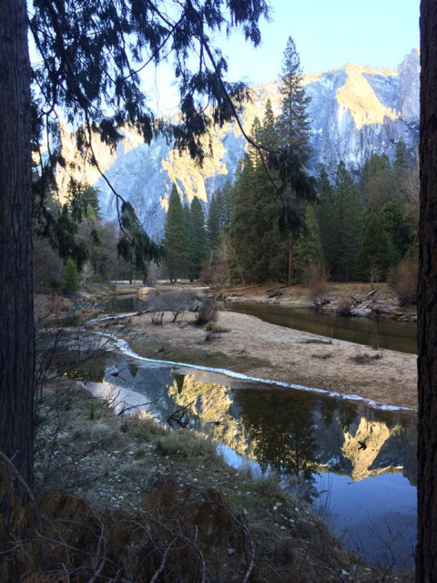 Paisagem linda no Yosemite National Park
