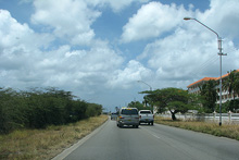 Dirigindo em Aruba, ainda na área de Noord - Palm Beach.