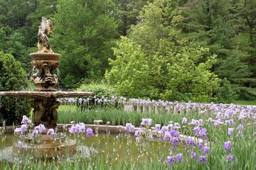 Jardins de Cranbrook