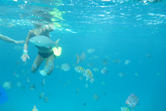 snorkeling em Cozumel