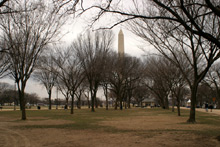 O Washington Monument, um obelisco de 170 metros, oferece uma vista panorâmica da cidade